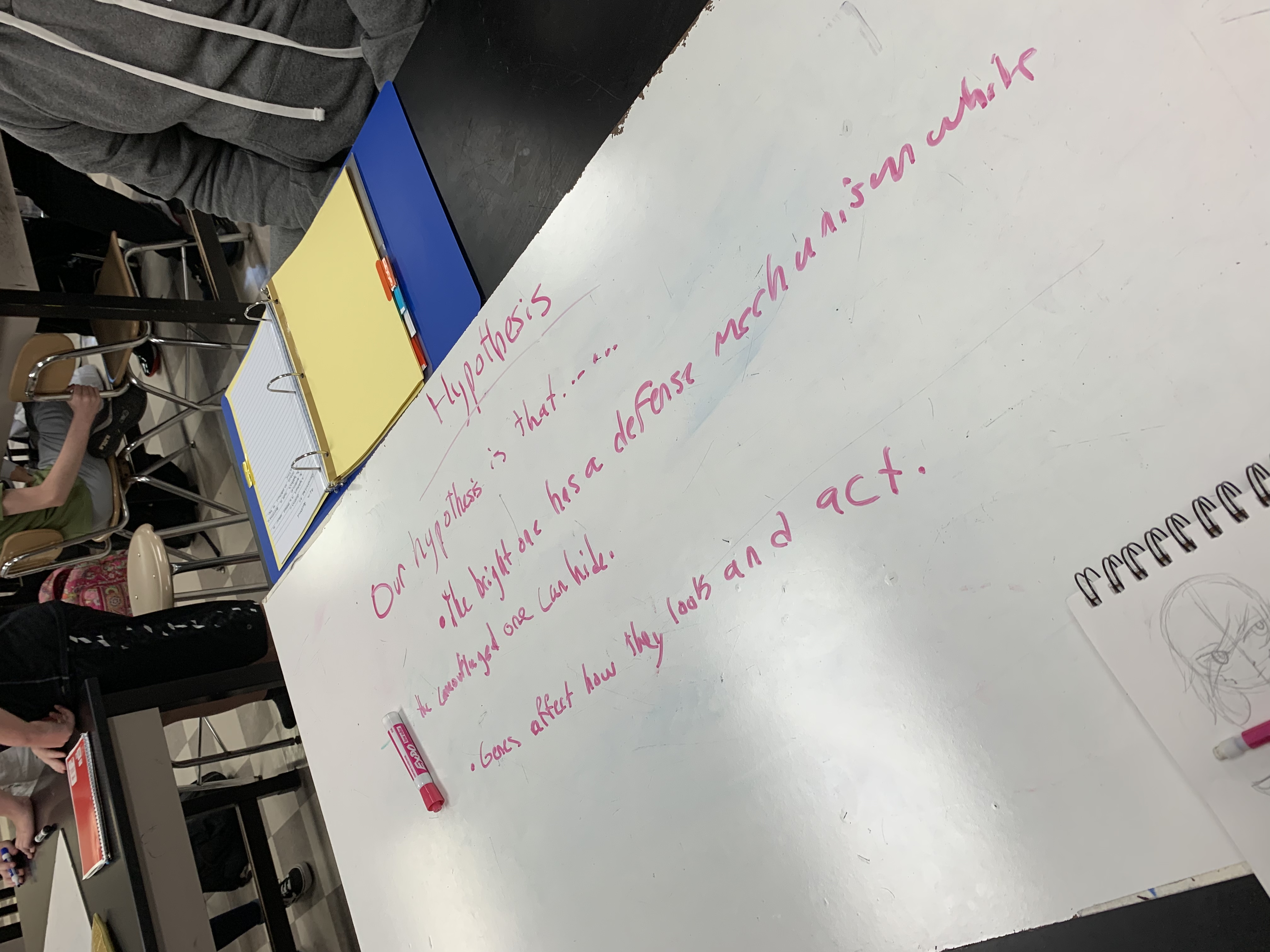 whiteboard with hypothesis listed