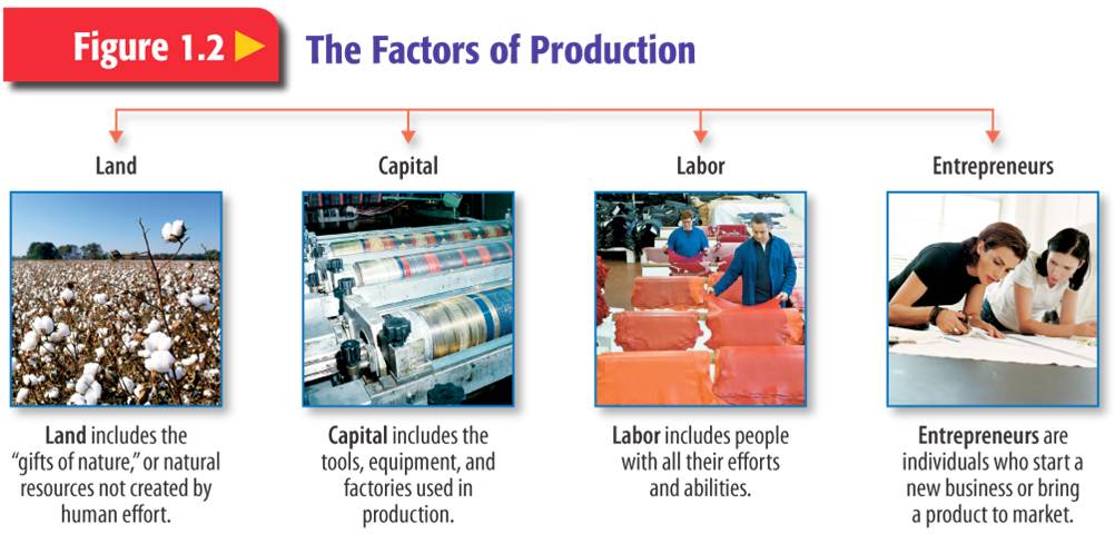 What Are The Main Factors Of Production