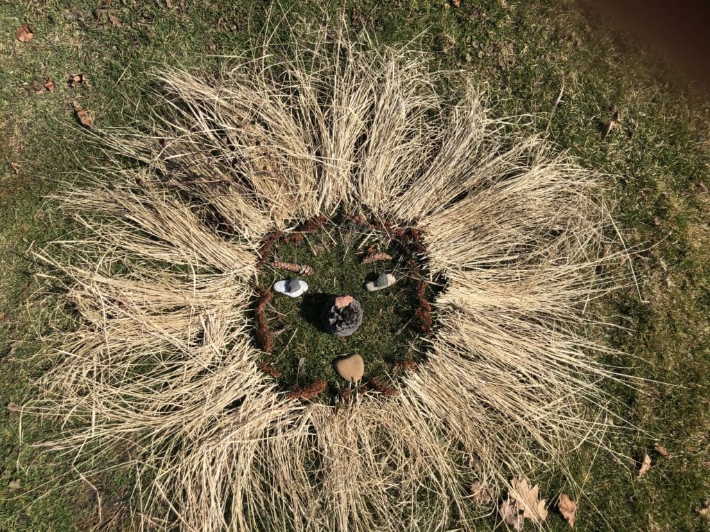 Image of a lion's face created with straw for the mane, rocks for the eyes and mouth, a pinecone for the nose, and smaller leaves around the edge of the mane for the face