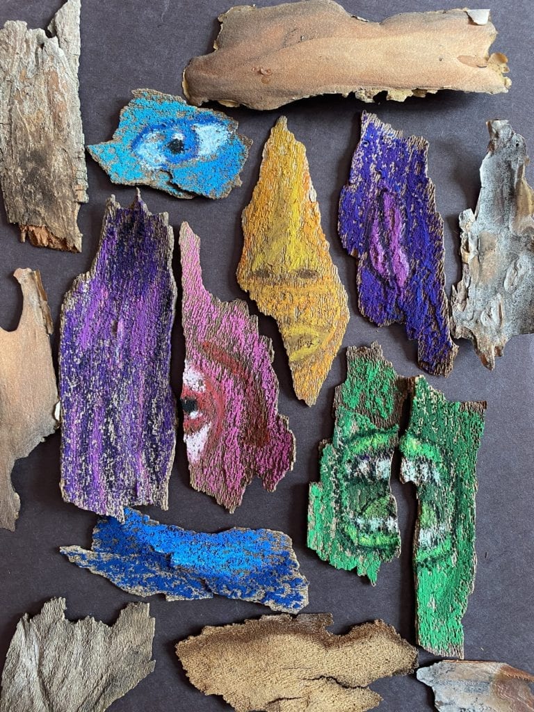 pieces of bark laying on a black piece of paper, some of the pieces have been colored and show parts of the face, not in the correct facial spotr. The nose is yellow, one eye is blue, the mouth is green, and another eye is pink.