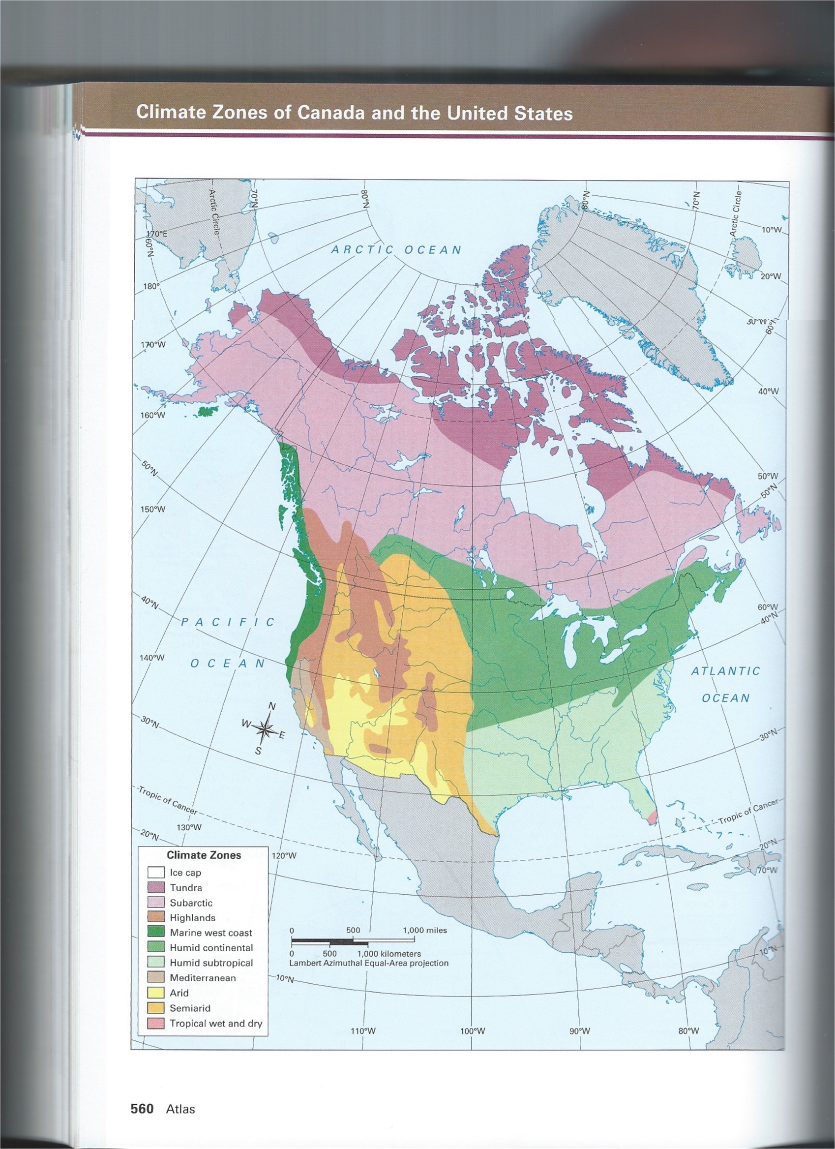 Social studies homework helper online