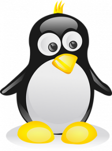 image of baby penguin