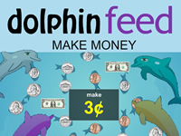 Dolphin Feed