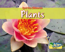 plants