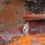 cropped-fine_art_header.jpg
