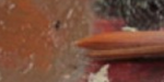 cropped-cropped-header1.png
