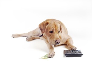 shutterstock_52583965
