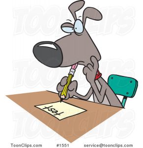 dog taking test