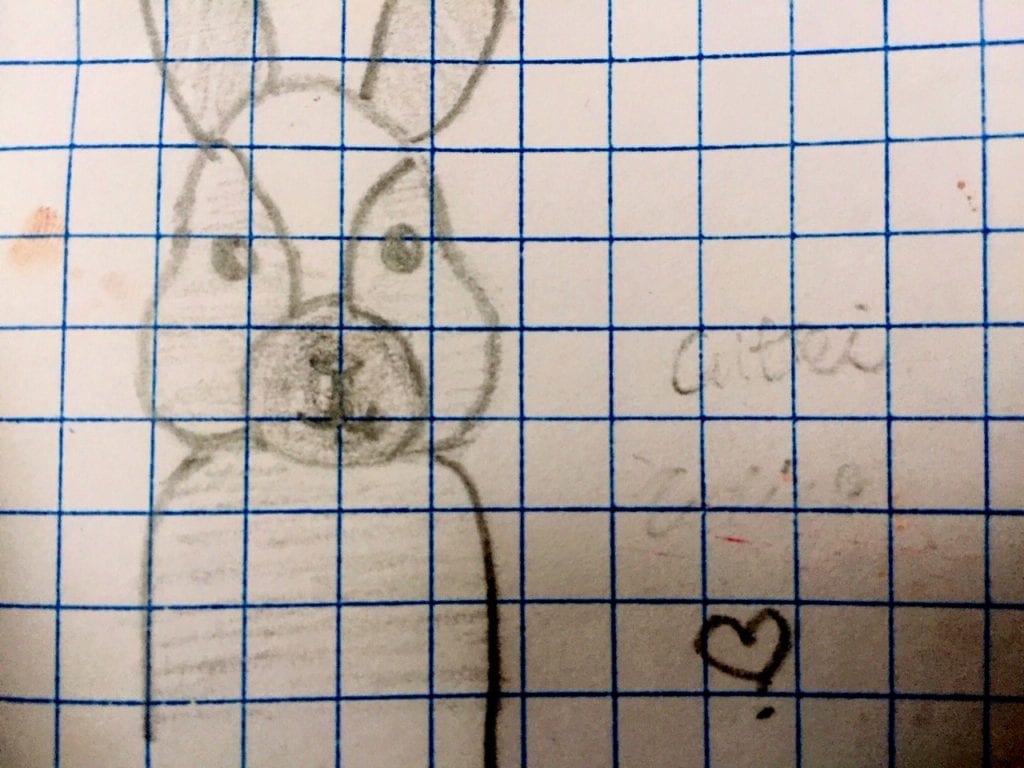 pencil drawing of a detailed bunny face and partial body