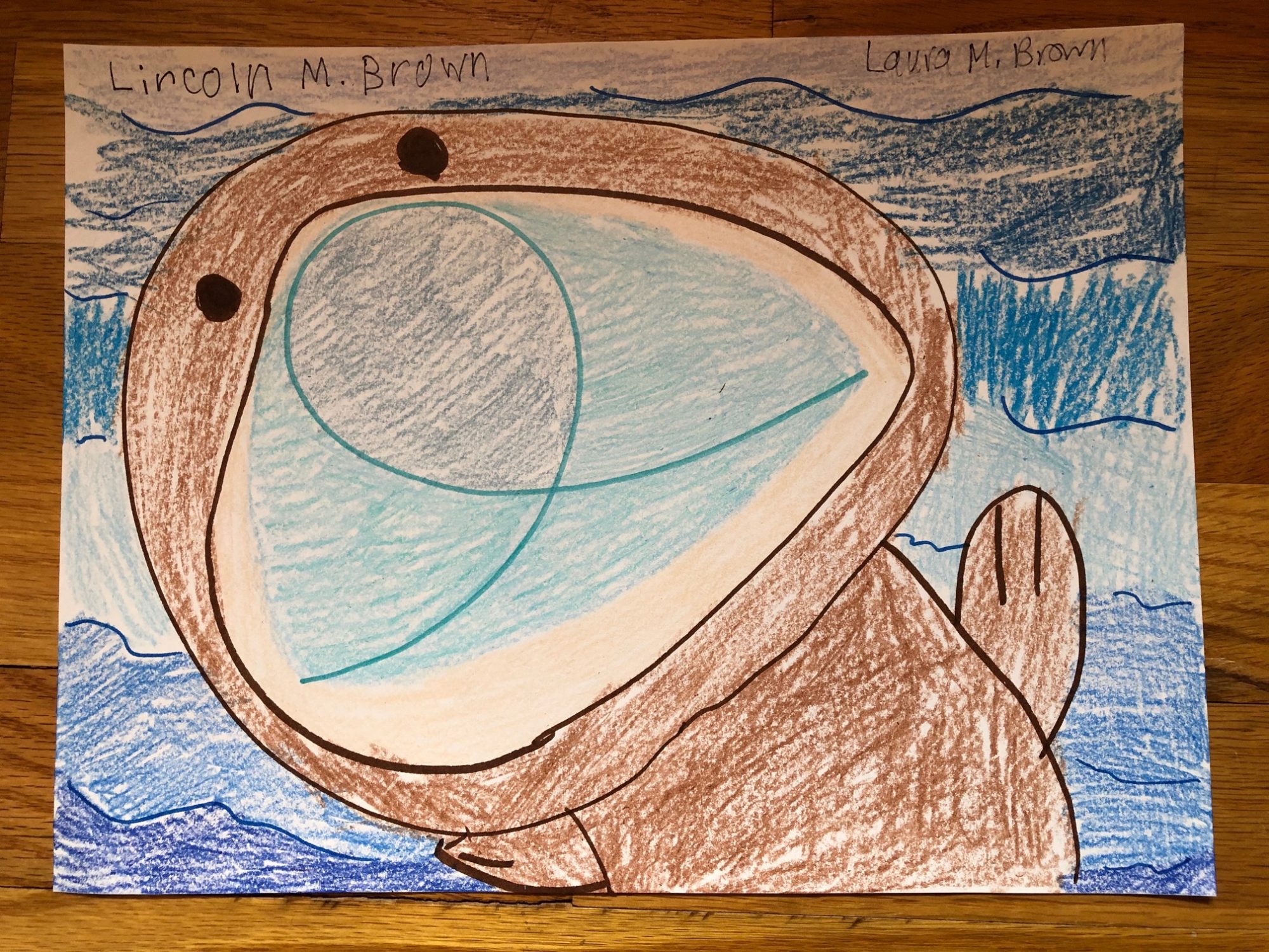 drawing of a sea otter floating in the water