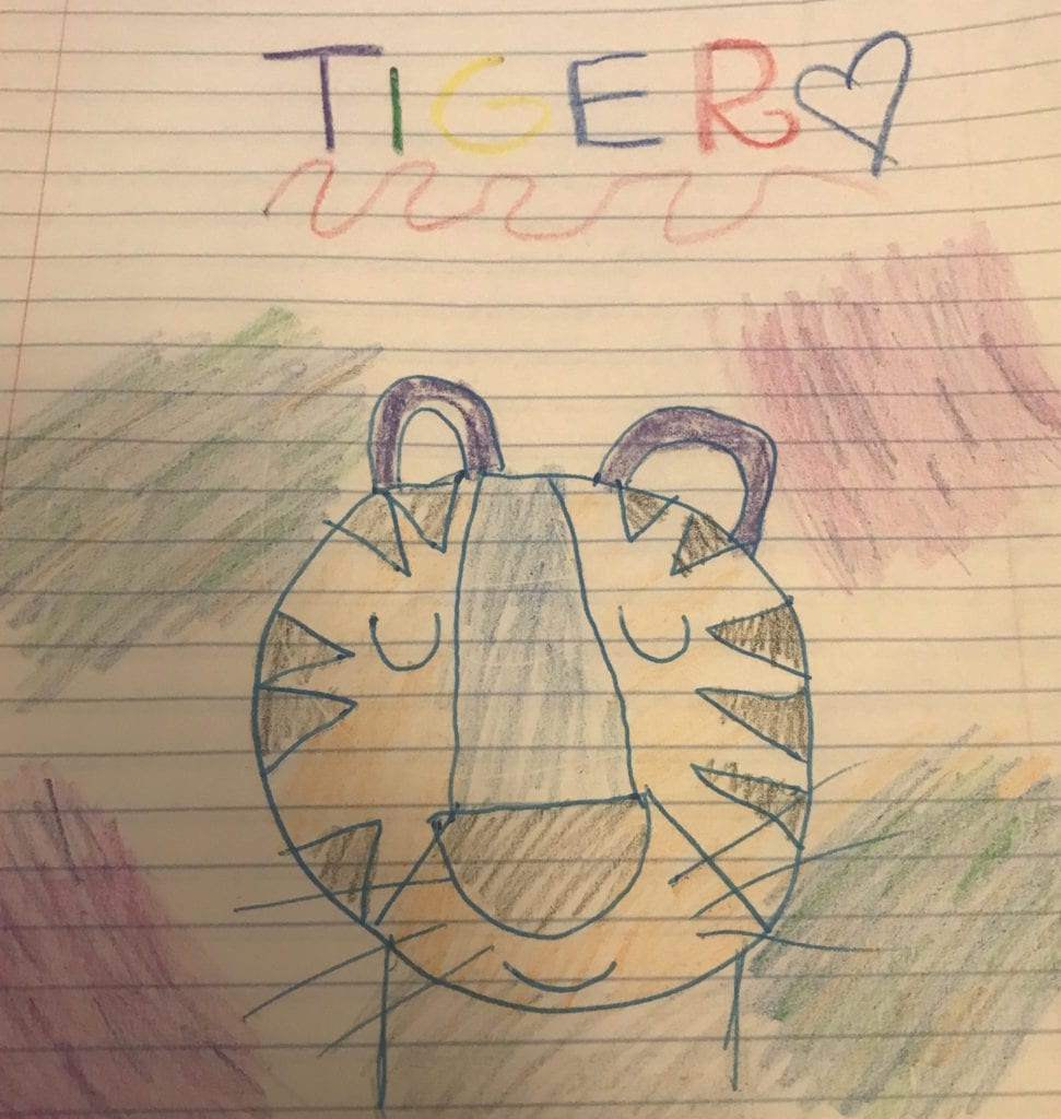 tiger face drawing with eyes closed and color splotches in the background