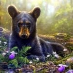 spring bear3