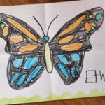 Ethan Denton Dob1 insect