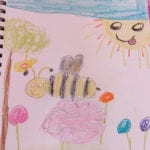 Lea Shaly D1 insect