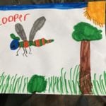 cooper fraley D1 insect