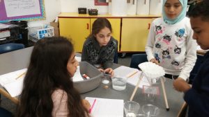 separating mixtures 
