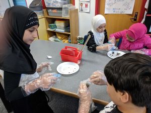 Student investigating owl pellet.
