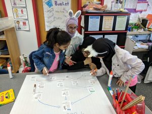 Students creating a food web