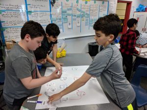 Students creating a food web.