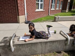 Drawing living and nonliving items