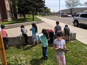 Drawing living and nonliving items