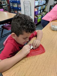 Closely observing a rock.
