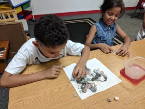 Sorting rocks