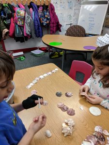 Students sorting shells.