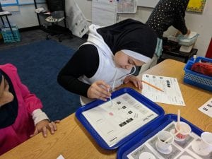 Students checking for acid.