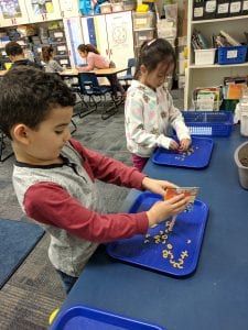 Student made bird beak.
