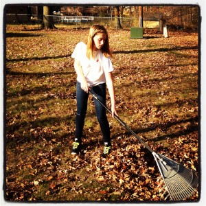 rake leaves