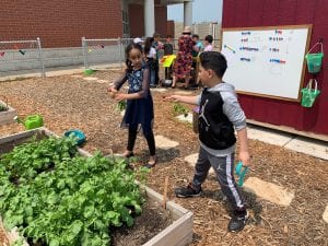 kids in garden