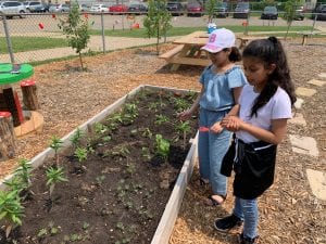 girls showing guests around garden