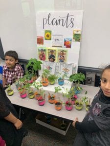 kindergarteners showing STEAM project