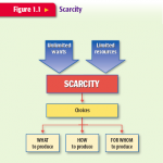 Scarcity