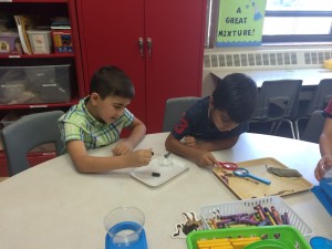 IMG_1947[1]
