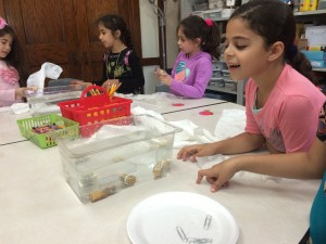 IMG_2139[1]