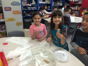 IMG_2140[1]