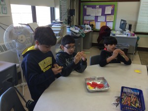 IMG_2311[1]