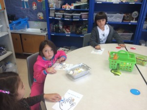 IMG_2340[1]