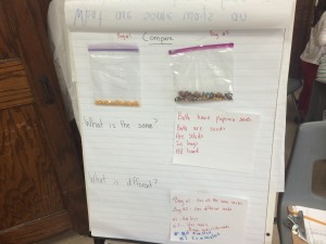 IMG_2344[1]