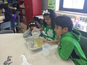 IMG_2355[1]