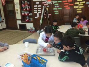 IMG_2427[1]
