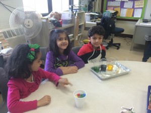 IMG_2430[1]