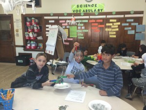 IMG_2488[1]