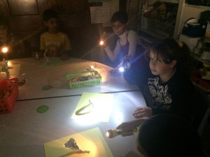 IMG_2716[1]