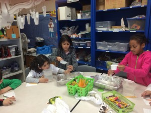 IMG_2743[1]