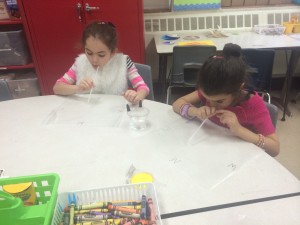 IMG_2826[1]
