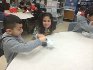 IMG_2946[1]