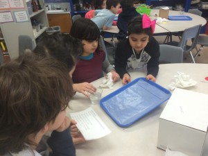 IMG_3005[1]